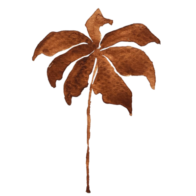 Brown Leaf PNG Free Images with Transparent Background - (983 Free