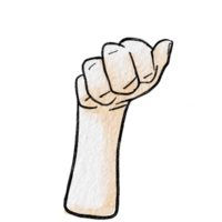 Watercolor various hand gestures png