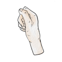 Watercolor various hand gestures png