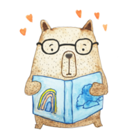 watercolor illustration bear reading a book png