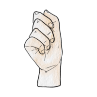 Watercolor various hand gestures png