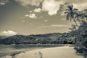 playa de manglares y pouso en la isla tropical ilha grande brasil. foto