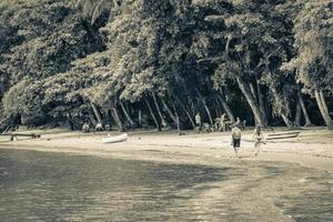 Mangrove and Pouso beach on tropical island Ilha Grande Brazil. photo