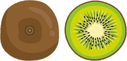 kiwi entero y medio fresco vector