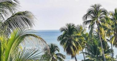 Beautiful natural panorama seascape palm trees beach Puerto Escondido Mexico. photo