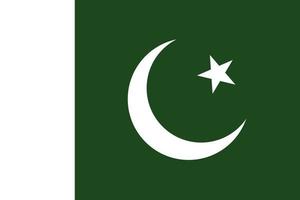 Pakistan flag. Official colors and proportions. vector