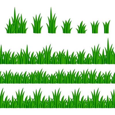 Set of bunches, bushes, seamless borders of green grass on a white background. Cartoon green grass and herbal borders. Vector illustration.