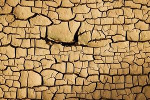 Close up weathered texture of arid cracked ground photo