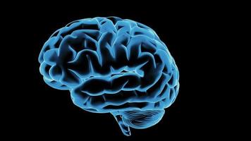 la rotación del cerebro humano es azul sobre un fondo negro video