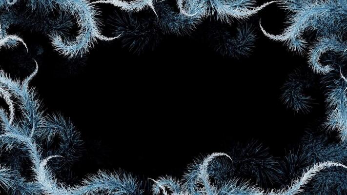 snow screen black