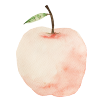manzana roja pintada con acuarela eco comida natural fruta ilustración aislada sobre fondo translúcido png