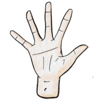 Watercolor various hand gestures png