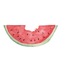 watermelon watercolor elements png