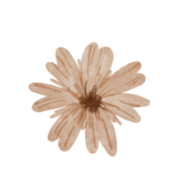 éléments aquarelle fleur abstraite png