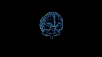 A model of a rotating human brain on a black background video