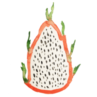 dragon fruit juice watercolor element png