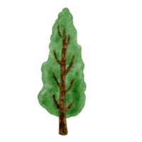 niedliche Baum Aquarell ClipArt png