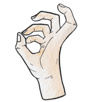 Watercolor various hand gestures png