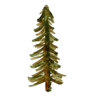 clip art de acuarela de árbol lindo png