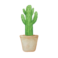 cactus watercolor clip art png