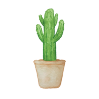 imágenes prediseñadas de acuarela de cactus png