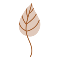 herfst gedaald blad png