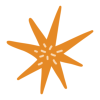 ilustración de esbozo de estrella de mar al estilo de un garabato png