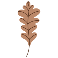 herfst gedaald blad png