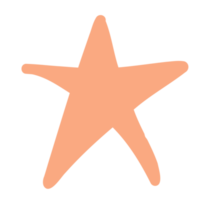 illustration de croquis d'étoile de mer dans le style d'un doodle png