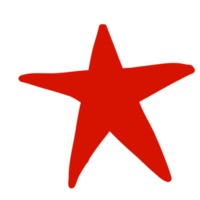illustration de croquis d'étoile de mer dans le style d'un doodle png