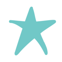 ilustração de esboço de estrela do mar no estilo de um doodle png