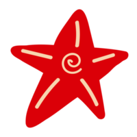 Starfish sketch illustration in the style of a doodle png