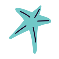 ilustração de esboço de estrela do mar no estilo de um doodle png
