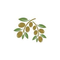 olive icon vector illustration