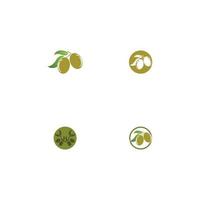 Ilustración de vector de diseño de logotipo de aceite de oliva virgen extra