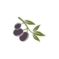 olive icon vector illustration