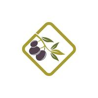 olive icon vector illustration