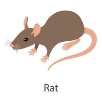 Rat icon, isometric style vector