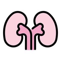 Organ kidney icon color outline vector