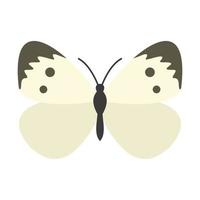 Butterfly with pattern on wings icon, flat style vector