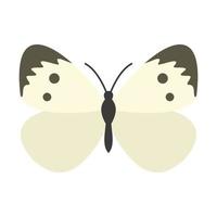 Butterfly with pattern on wings icon, flat style vector