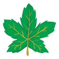 Maple leaf icon, cartoon style vector