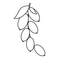 Dogwood berries icon, outline style vector