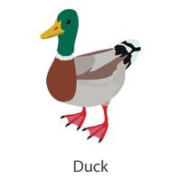 Duck icon, isometric style vector