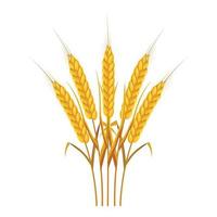 Five wheat ears icon, cartoon style vector