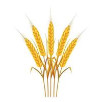 Five wheat ears icon, cartoon style vector