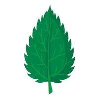 Nettle leaf icon, cartoon style vector