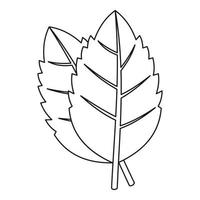 Basil leaves icon, outline style vector