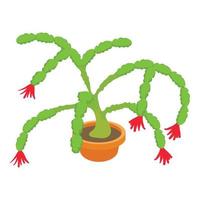 Christmas cactus icon, cartoon style vector