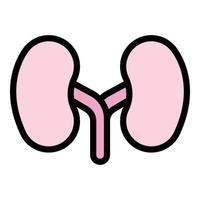 System kidney icon color outline vector